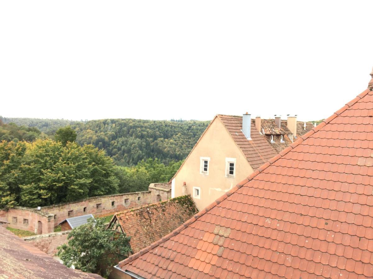 Les Appartements D'Estelle La Petite-Pierre Zewnętrze zdjęcie