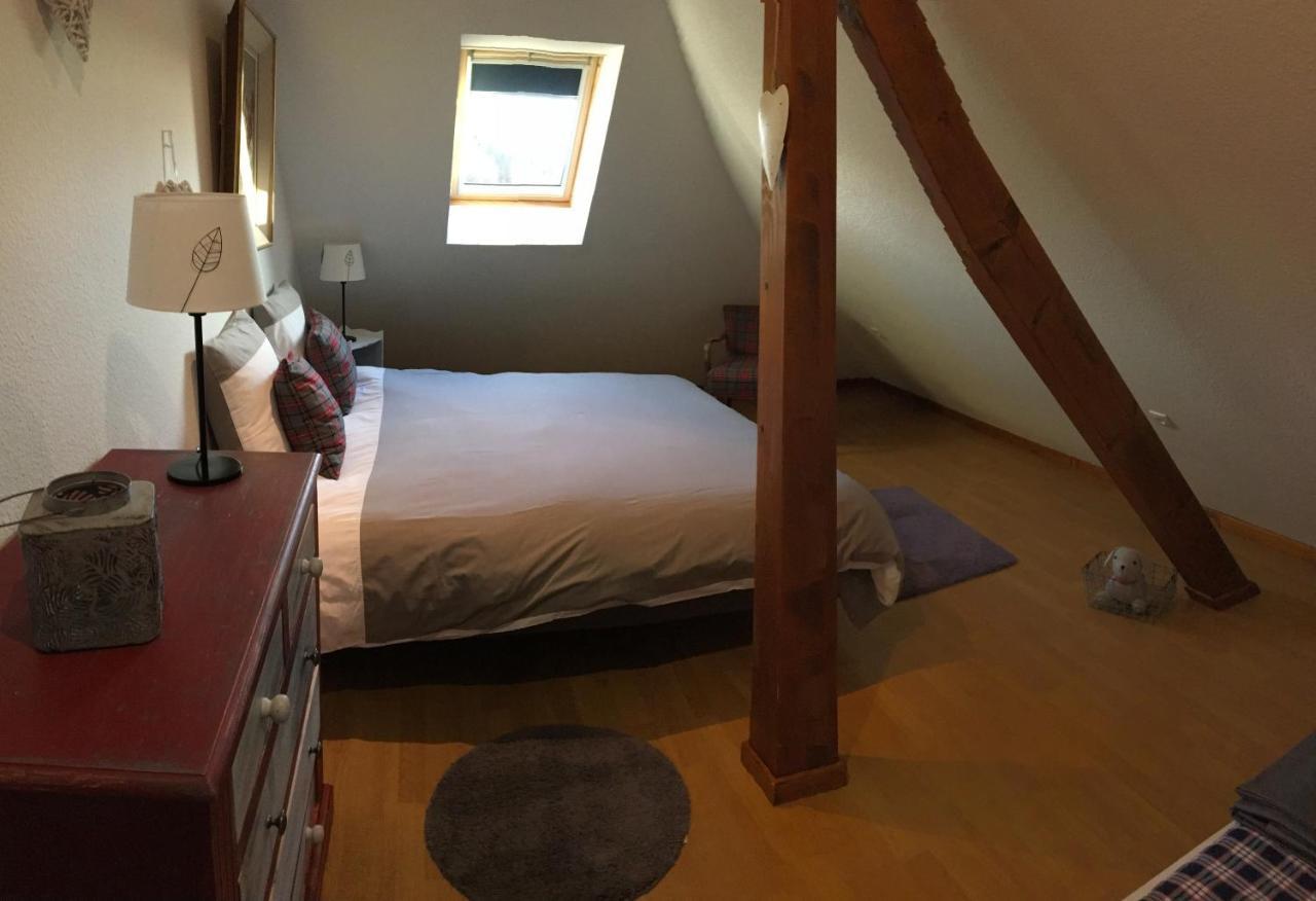 Les Appartements D'Estelle La Petite-Pierre Zewnętrze zdjęcie