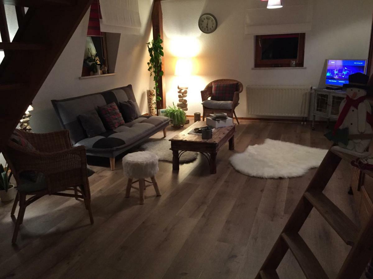Les Appartements D'Estelle La Petite-Pierre Zewnętrze zdjęcie