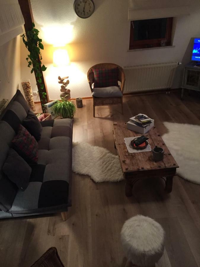 Les Appartements D'Estelle La Petite-Pierre Zewnętrze zdjęcie