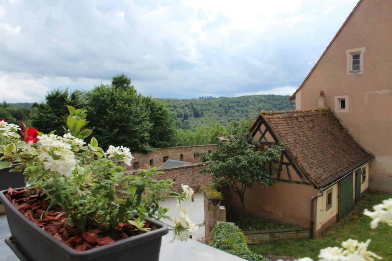 Les Appartements D'Estelle La Petite-Pierre Zewnętrze zdjęcie