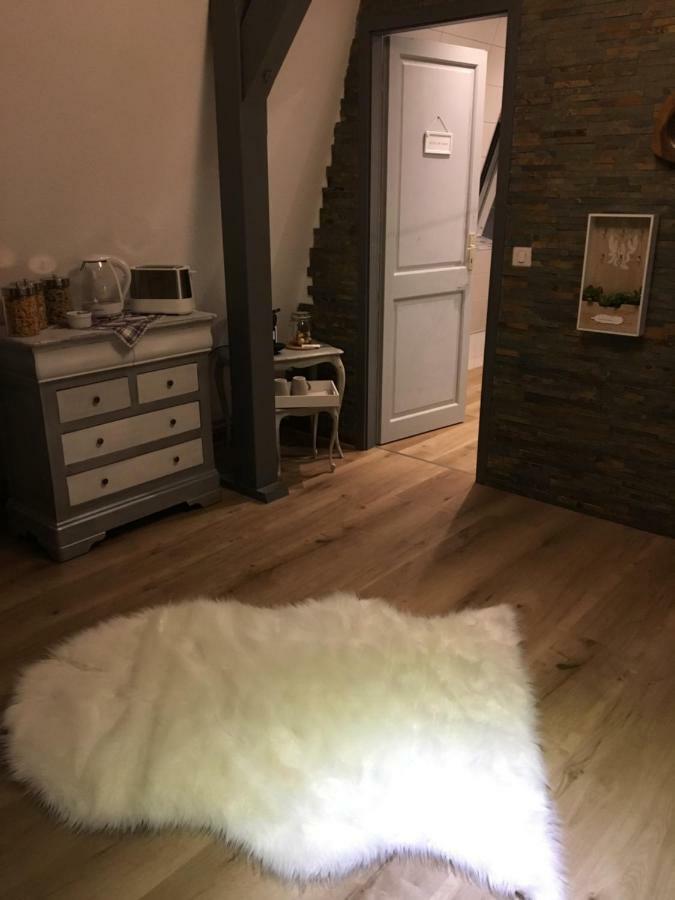 Les Appartements D'Estelle La Petite-Pierre Zewnętrze zdjęcie