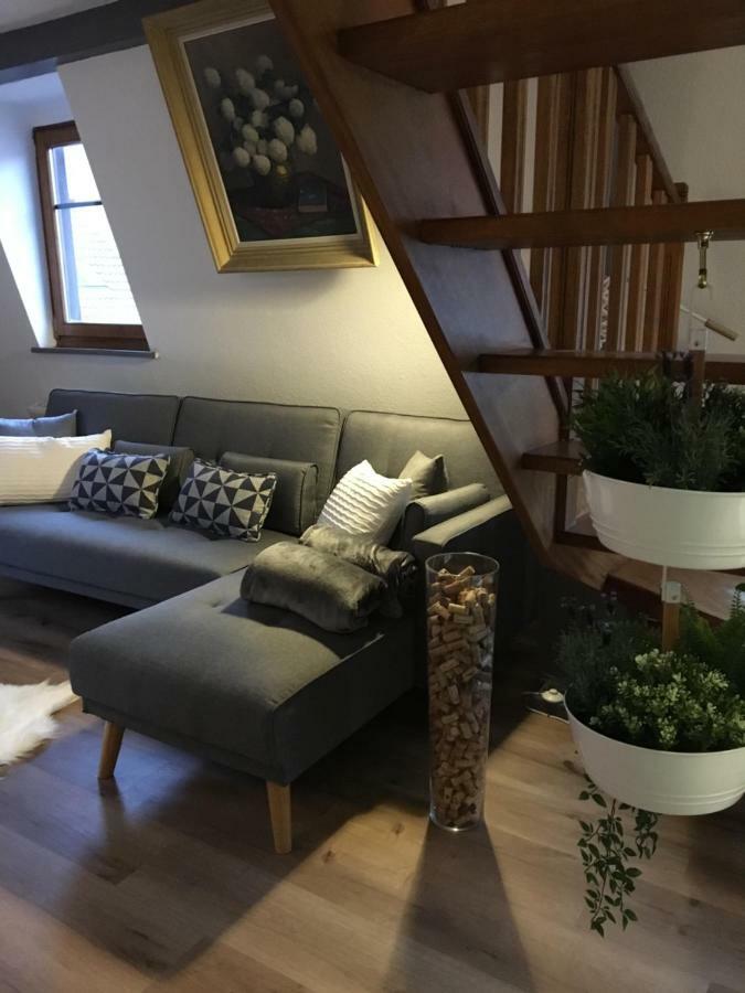Les Appartements D'Estelle La Petite-Pierre Zewnętrze zdjęcie